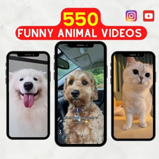 500+ Funny Animal Reels